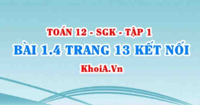 Bài 1.4 trang 13 Toán 12 tập 1 Kết nối tri thức